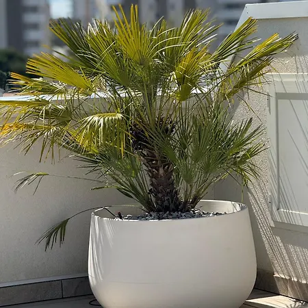 Attico Sole Apartment *